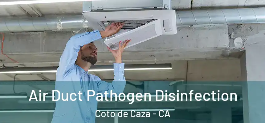 Air Duct Pathogen Disinfection Coto de Caza - CA