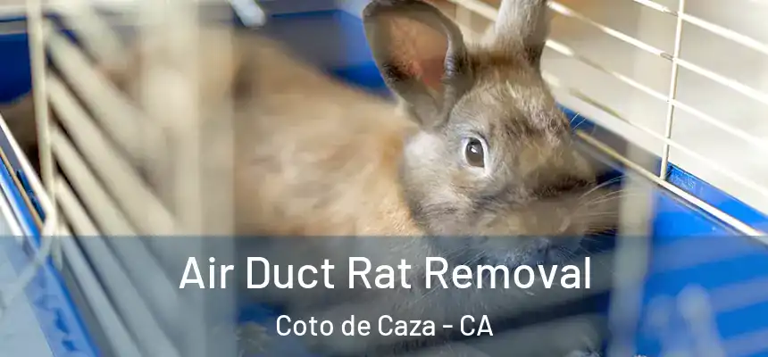 Air Duct Rat Removal Coto de Caza - CA