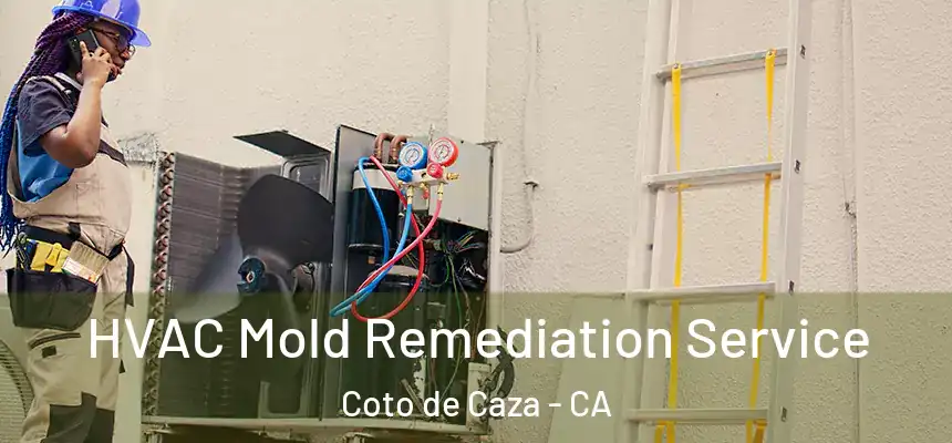  HVAC Mold Remediation Service Coto de Caza - CA