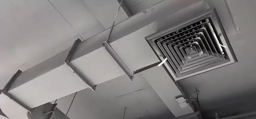 Restorative Allergy Relief Vent Cleaning – Coil, Blower & Housing Detail in Coto de Caza