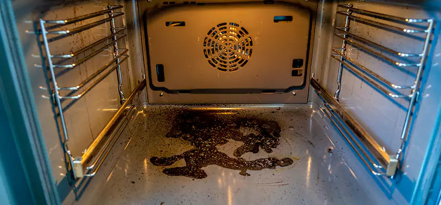 Our Dryer Vent Mold Cleaning Services in Coto de Caza, CA