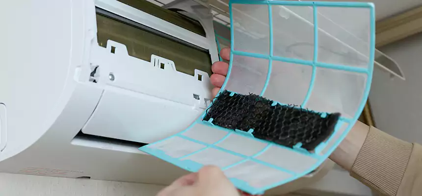 Gentle Ductwork Odor-Control Pet Dander Duct Cleaning in Coto de Caza, CA