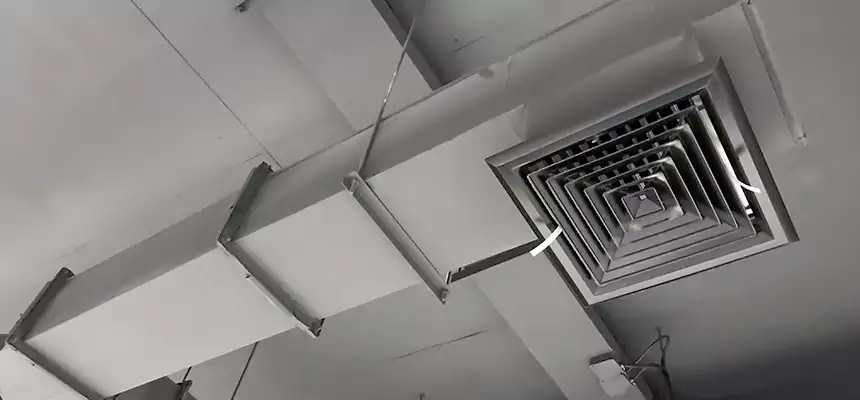 Our Rodent Droppings In Vents Services in Coto de Caza, CA