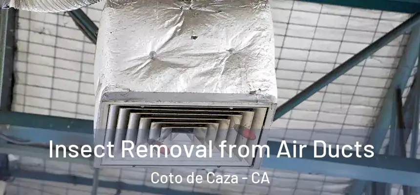  Insect Removal from Air Ducts Coto de Caza - CA