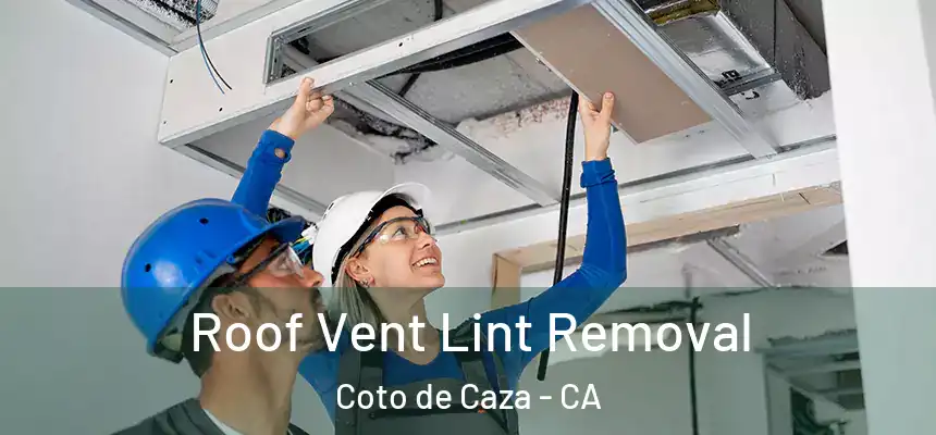  Roof Vent Lint Removal Coto de Caza - CA