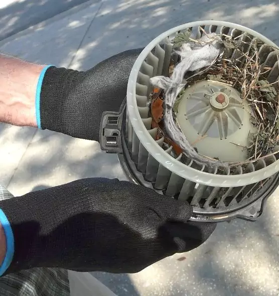 About Air Duct Rat Removal in Coto de Caza, CA