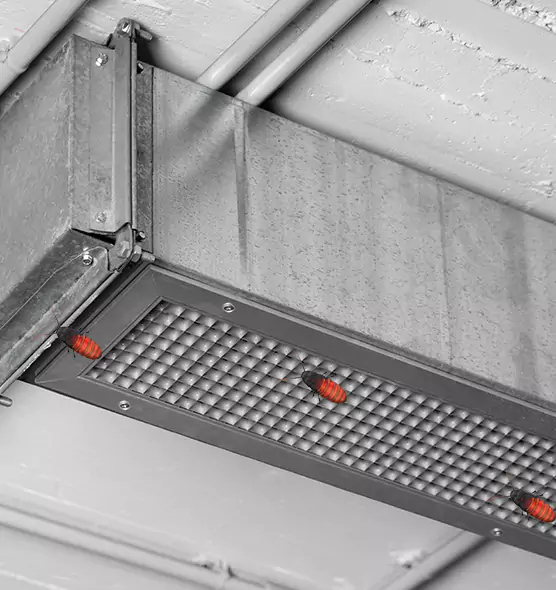 Affordable Insect Removal from Air Ducts in Coto de Caza, CA