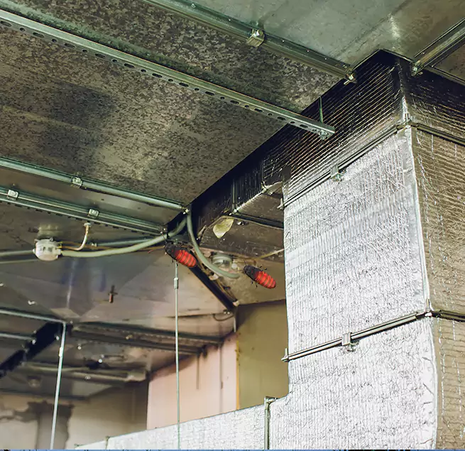 Why Homeowners & Businesses Trust Us in Coto de Caza, CA?