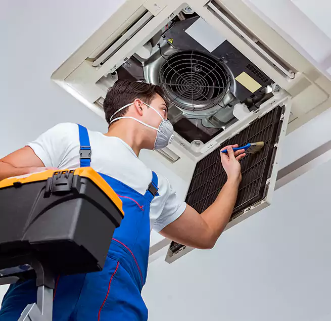 Why Homeowners & Businesses Trust Us in Coto de Caza, CA