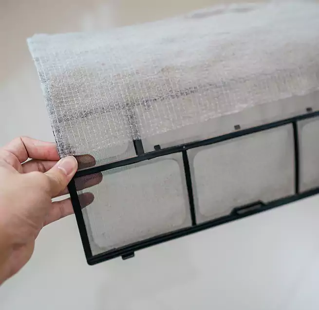 Why Homeowners & Businesses Trust Us in Coto de Caza, CA?