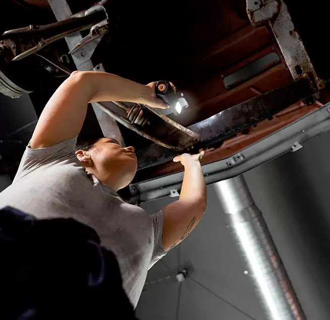 Why Homeowners & Businesses Trust Us Coto de Caza, CA